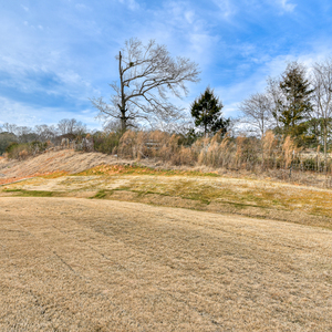 Briarwood Place 10