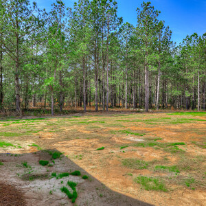 128 Traditions Drive, Trenton, South Carolina - Tallulah