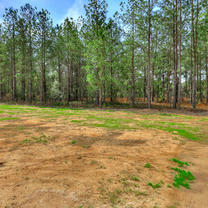 128 Traditions Drive, Trenton, South Carolina - Tallulah