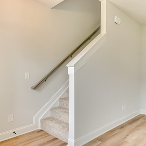 3203 Tracker Lane, Warrenville, South Carolina - Amberly