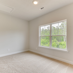 3203 Tracker Lane, Warrenville, South Carolina - Amberly