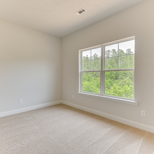 3203 Tracker Lane, Warrenville, South Carolina - Amberly