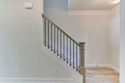 107 Paspalum Ct, Greenvillw, South Carolina - Tallulah