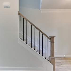107 Paspalum Ct, Greenvillw, South Carolina - Tallulah