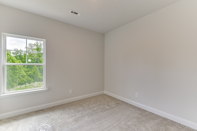 107 Paspalum Ct, Greenvillw, South Carolina - Tallulah