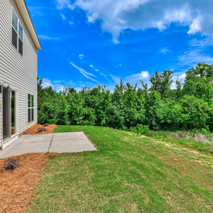 107 Paspalum Ct, Greenvillw, South Carolina - Tallulah