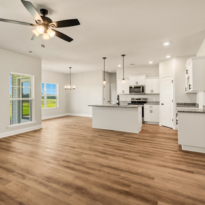 220  Manchester Dr, Statesboro, Georgia - Hamilton II