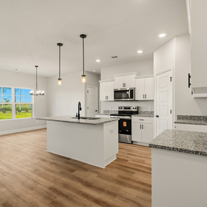 220  Manchester Dr, Statesboro, Georgia - Hamilton II