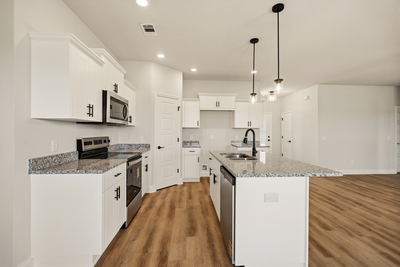 220  Manchester Dr, Statesboro, Georgia - Hamilton II