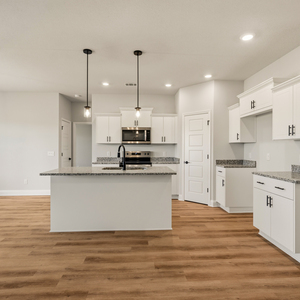 220  Manchester Dr, Statesboro, Georgia - Hamilton II