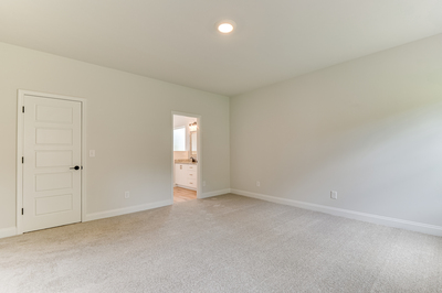 426 Mill Stone Lane, North Augusta, South Carolina - Ficus