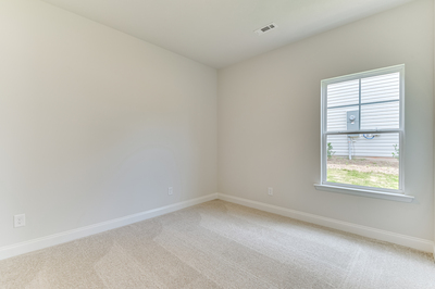 426 Mill Stone Lane, North Augusta, South Carolina - Ficus