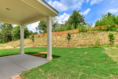 426 Mill Stone Lane, North Augusta, South Carolina - Ficus