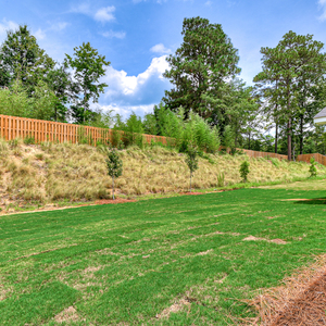 Walnut Grove 12
