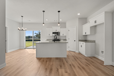 209 Palmetto Loop, Vidalia, Georgia - Creston II