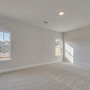 204 Palmetto Loop, Vidalia, Georgia - Ashford