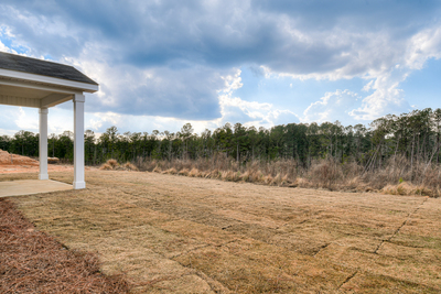204 Palmetto Loop, Vidalia, Georgia - Ashford