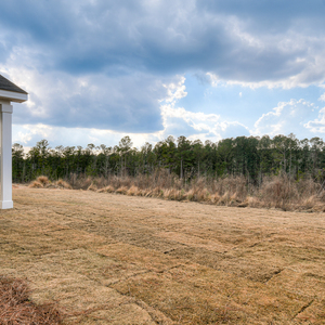 204 Palmetto Loop, Vidalia, Georgia - Ashford