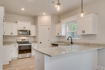 213 Palmetto Loop, Vidalia, Georgia - Ficus